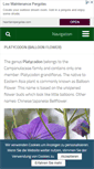 Mobile Screenshot of platycodon.net